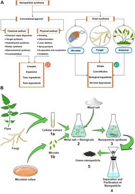 Current and future prospects of “all-organic” nanoinsecticides for agricultural insect pest management